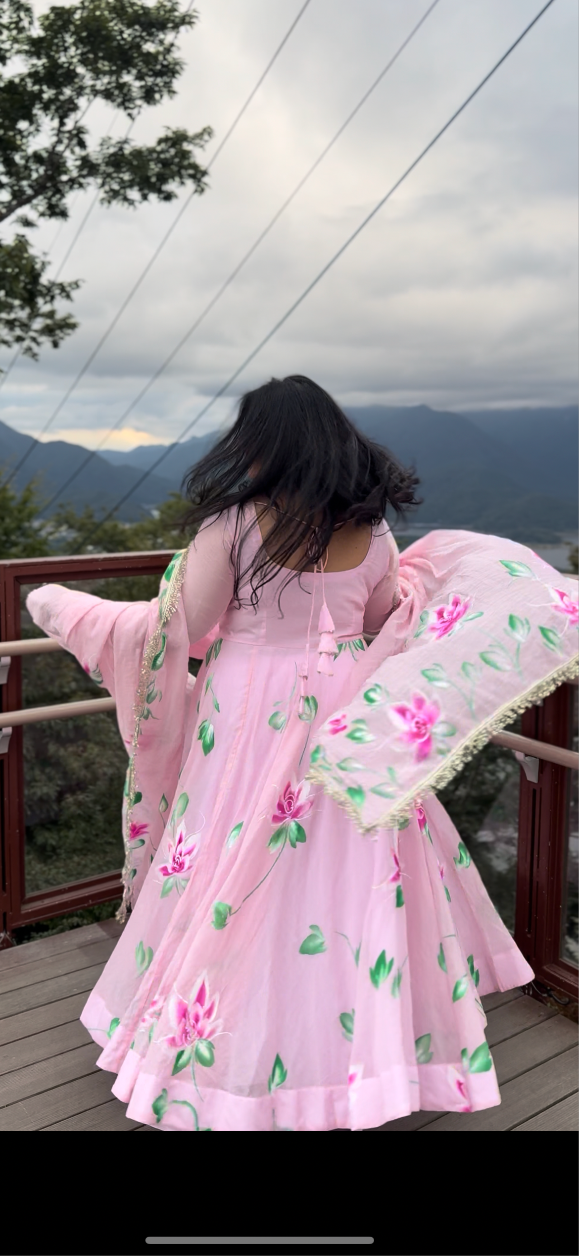 Baby pink Hand painted Anarkali