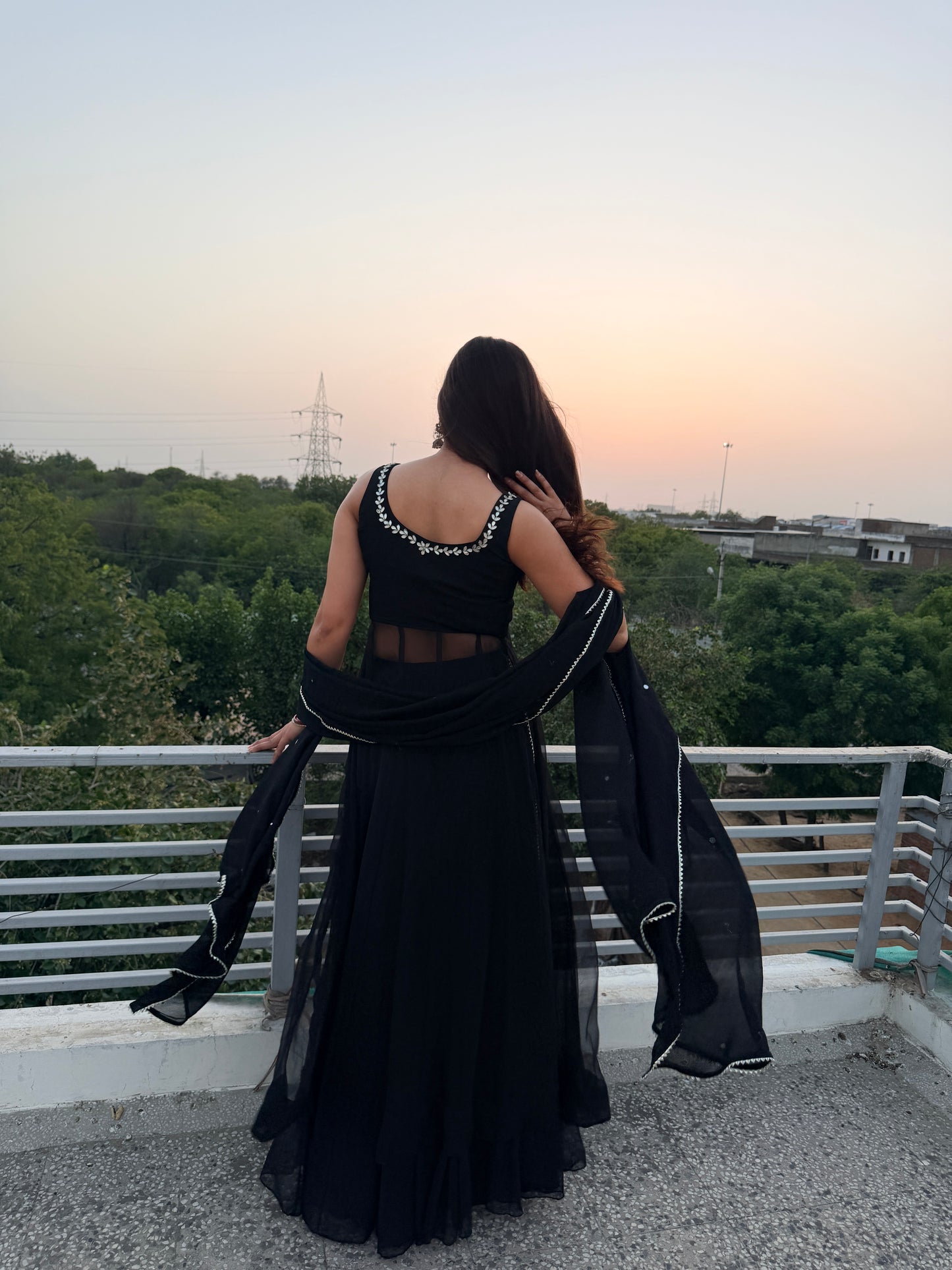 Rajni Anarkali